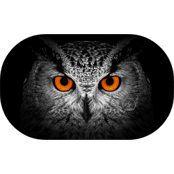 GOGGLE PROTEC CHOUETTE | PVC : 9,95€ | Coef : 5.55